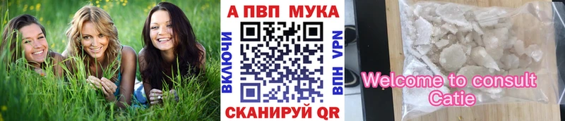 kraken как войти Киреевск Alfa_PVP крисы CK
