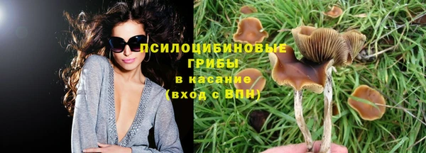 мескалин Снежногорск
