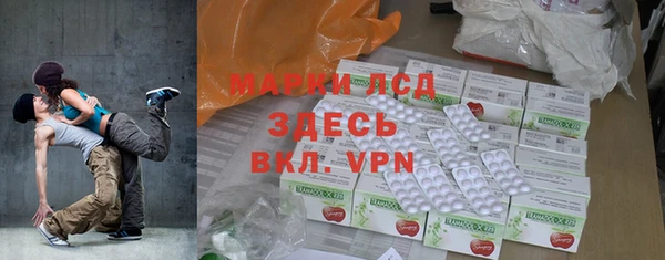apvp Алзамай