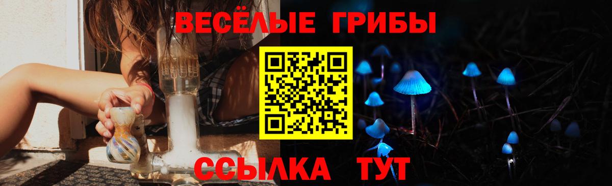 Киреевск  Галлюциногенные грибы Magic Shrooms  где продают   Галлюциногенные грибы Psilocybine cubensis  Вход с VPN 